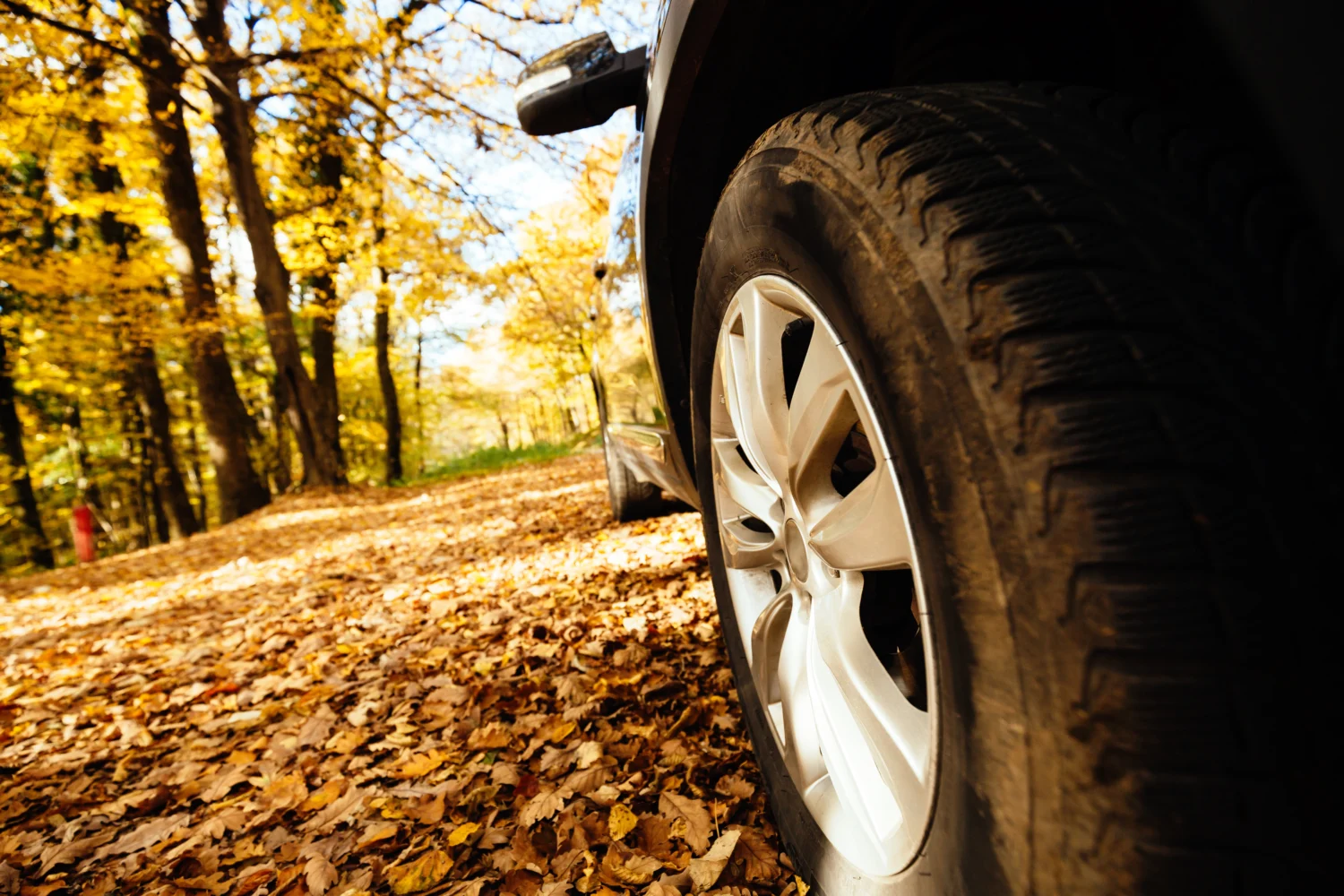 tyres-fitted-on-car-for-off-road-2023-11-27-05-12-47-utc - JC Whitney