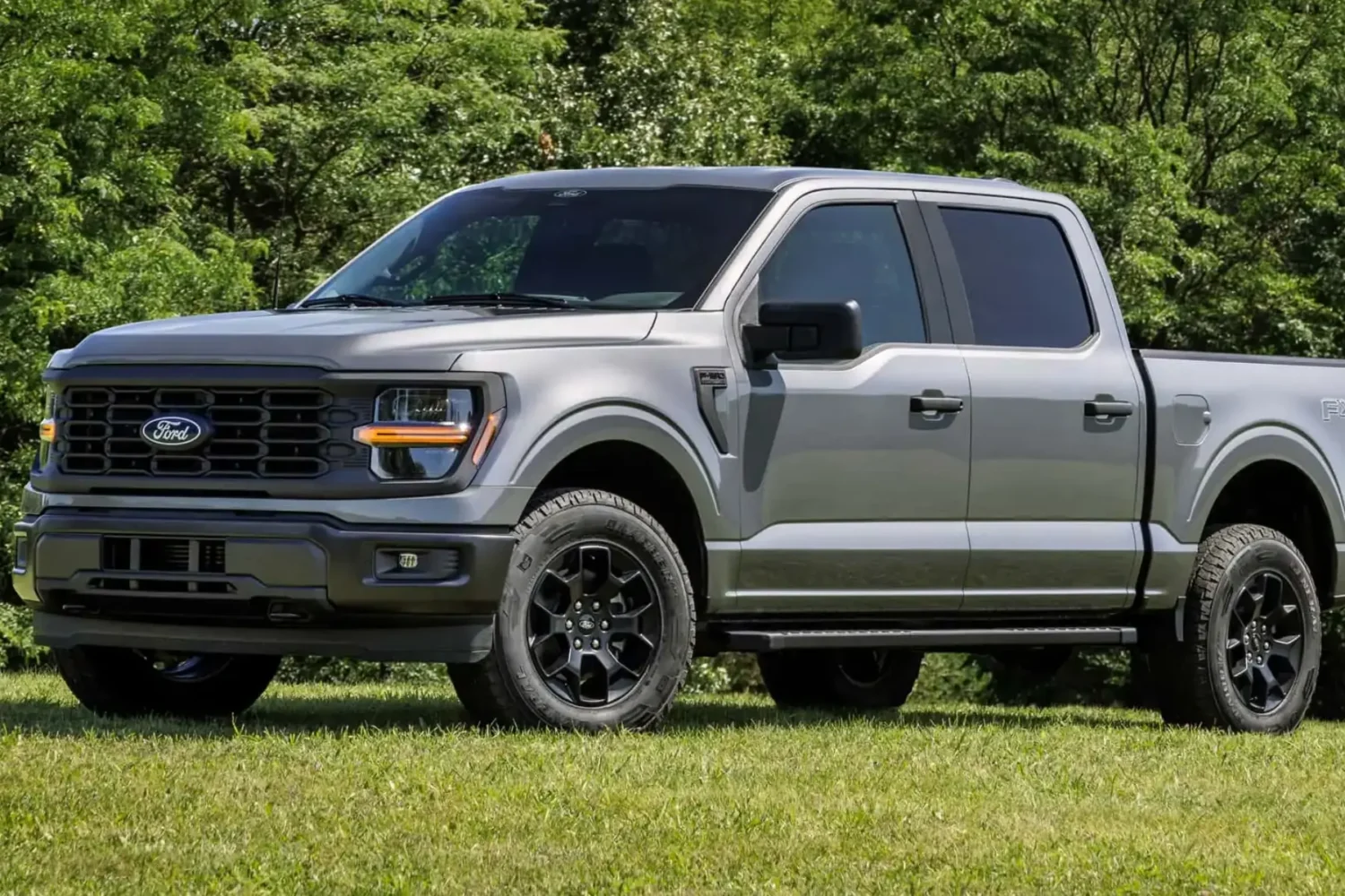 Ford F150 A Buyers Guide 1 - JC Whitney ford f150 price