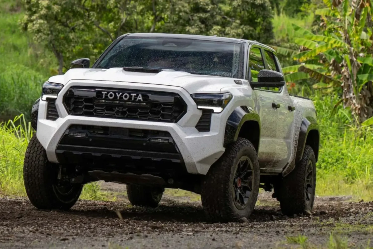 The Toyota Tacoma A Buyers Guide 2 - JC Whitney used toyota tacoma for sale
